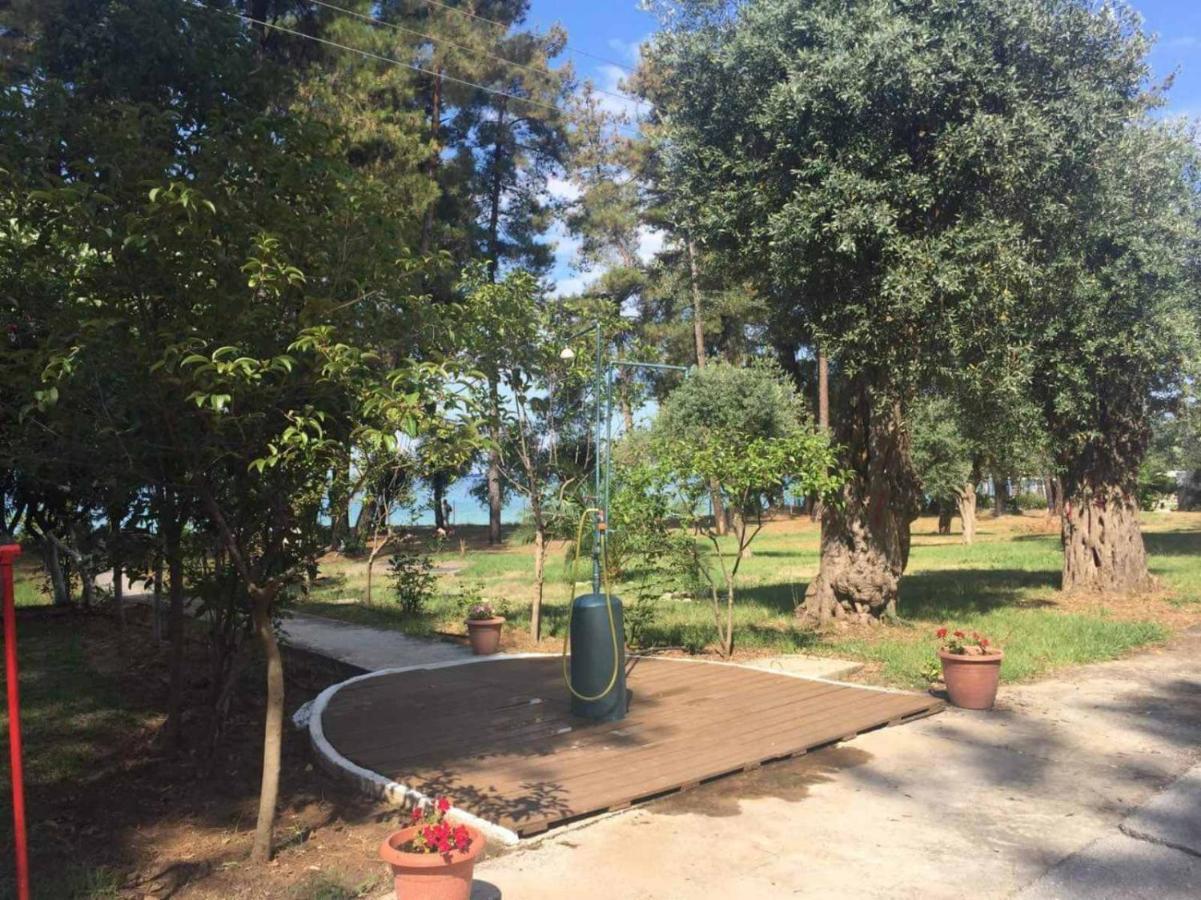 Ferienwohnung Nisteri Seaside Limenas  Exterior foto